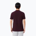 Pánské polo tričko Lacoste Polo DH5522 oxalis 3