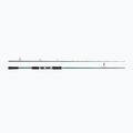 Prut Abu Garcia Beast X Pike 842 H