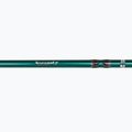 Prut Abu Garcia Beast X Pike 842 H 4