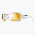 Sluneční brýle Julbo Reactive Performance 2-4 zebra/blanc brilliant