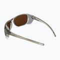 Sluneční brýle Julbo Camino Spectron shiny translu green/light gray 3