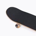 Klasický skateboard Element Tecuala barva 531589562 6