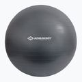 Gymnastický míč Schildkröt Gymnastic šedý 960157