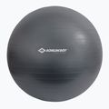 Gymnastický míč Schildkröt Gymnastic šedý 960158