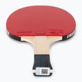 Raketa na stolní tenis Butterfly Timo Boll SG11 2