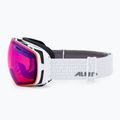 Lyžařské brýle Alpina Granby Q-Lite white gloss/blue sph 4