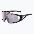 Sluneční brýle Alpina Hawkeye Q-Lite V black matt/purple 5
