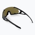 Sluneční brýle Alpina Hawkeye Q-Lite black matt/silver mirror 2