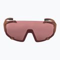 Sluneční brýle Alpina Hawkeye Q-Lite brick matt/black red mirror 2