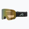 Lyžařské brýle  Alpina Penken Q-Lite willow/ green matt/ gold 5