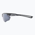 Sluneční brýle Alpina Nylos HR midnight grey matt/ silver mirror 7