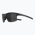 Sluneční brýle Alpina Eagle Q-Lite black matte/silver mirror 4