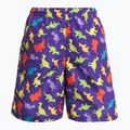 Chlapecké  plavecké šortky Fashy 26837 Small Boys