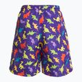 Chlapecké  plavecké šortky Fashy 26837 Small Boys 2