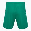 Dětské fotbalové šortky Capelli Sport Cs One Adult Match green/white 2