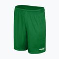 Dětské fotbalové šortky Capelli Sport Cs One Adult Match green/white 4