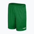 Pánské fotbalové šortky Capelli Sport Cs One Adult Match green/white 4