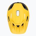 Cyklistická přilba UVEX Quatro Integrale sunbee/black 6