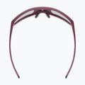 Sluneční brýle Uvex Skyryse burgundy matte/mirror rose 4