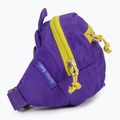 Dětská ledvinka Deuter Junior Belt fialová 3910021 2