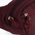 Ledvinka Deuter Belt I bordová 3900121 7
