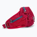 Ledvinka Deuter Pulse 3 bordová 3910321 2