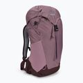 Dámský turistický batoh Deuter AC Lite SL 14 l růžový 342052155680