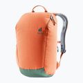 Deuter StepOut 16 l městský batoh 381512392060 kaštanová/růžová 2