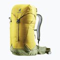 Turistický batoh Deuter AC Lite 24 l 342082182080 turmeric/khaki 2