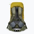 Turistický batoh Deuter AC Lite 30 l 342102182080 turmeric/khaki 3