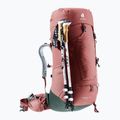 Dámský trekingový batoh deuter Aircontact Lite 45 + 10 SL 55 l 334022352150 caspia/ivy 7