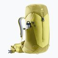 Dámský turistický batoh deuter AC Lite 22 l SL sprout/linden 5