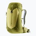 Turistický batoh deuter AC Lite 24 l linden/cactus 4