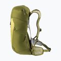 Turistický batoh deuter AC Lite 24 l linden/cactus 5