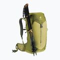 Turistický batoh deuter AC Lite 24 l linden/cactus 9