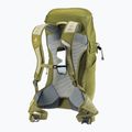 Turistický batoh deuter AC Lite 24 l linden/cactus 13