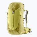 Dámský turistický batoh deuter AC Lite 28 l SL sprout/linden 2