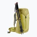 Dámský turistický batoh deuter AC Lite 28 l SL sprout/linden 10