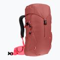 Dětský turistický batoh Deuter Climber 22 l redwood/hibiscus 2