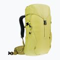 Dětský turistický batoh Deuter Climber 22 l sprout/linden 2