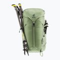 Turistický batoh Deuter Trail 30 l grove-ivy 5