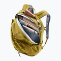 Batoh deuter Gogo 25 l kelp/nori 8