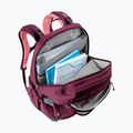 Městský batoh deuter Cotogy 28 l cassis/dahlia 11
