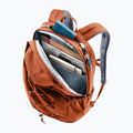 Batoh Deuter Gogo copper/oak 8