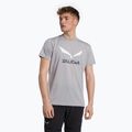 Pánské trekové tričko Salewa Solidlogo Dry grey 00-0000027018