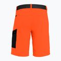 Pánské turistické šortky Salewa Pedroc Cargo 2  oranžové 26934 5