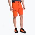Pánské turistické šortky Salewa Pedroc Cargo 2  oranžové 26934