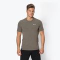 Salewa Lavaredo Hemp green pánské trekové tričko 00-0000028061