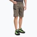 Salewa Lavaredo Hemp pánské turistické šortky hnědé 00-0000028033