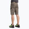 Salewa Lavaredo Hemp pánské turistické šortky hnědé 00-0000028033 3
